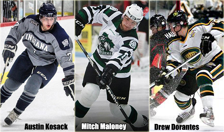 Ferris State Hockey Completes Incoming Recruiting Class With Three Talented Additions