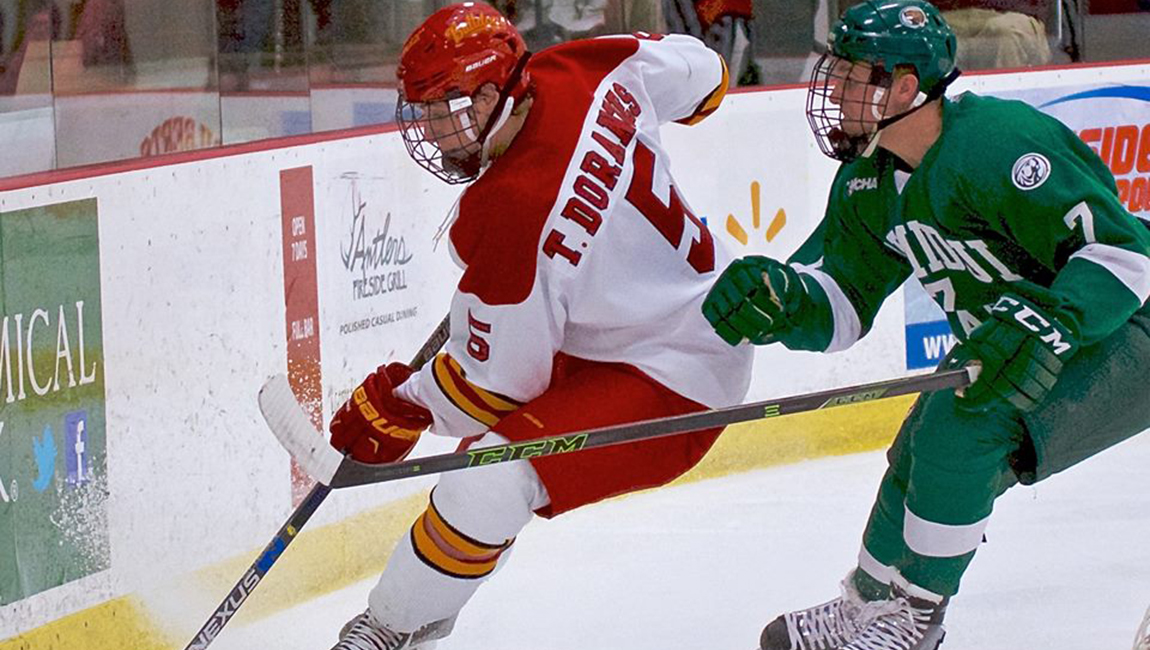 FSU Hockey
