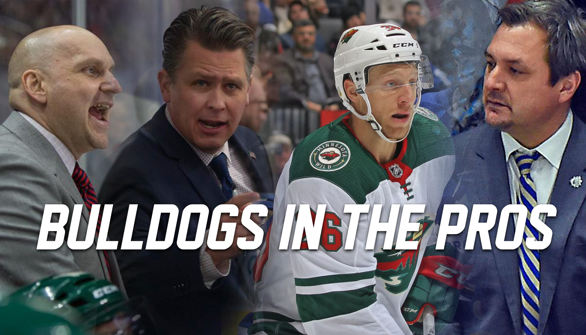 Pro-Dawgs: Where Are Ferris State Hockey's Former Players and Coaches Now?