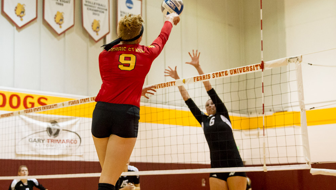 #8 Ferris State Falls In Five-Set Heartbreaker To #10 Minnesota-Duluth