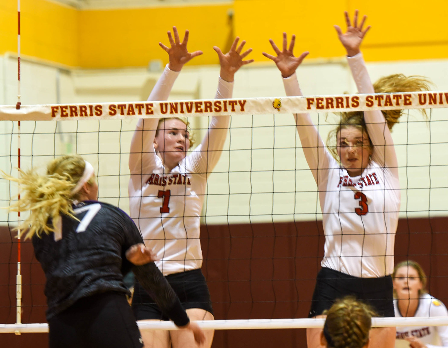 Bulldogs Defeat Northern Michigan Wildcats In Five Set Thriller