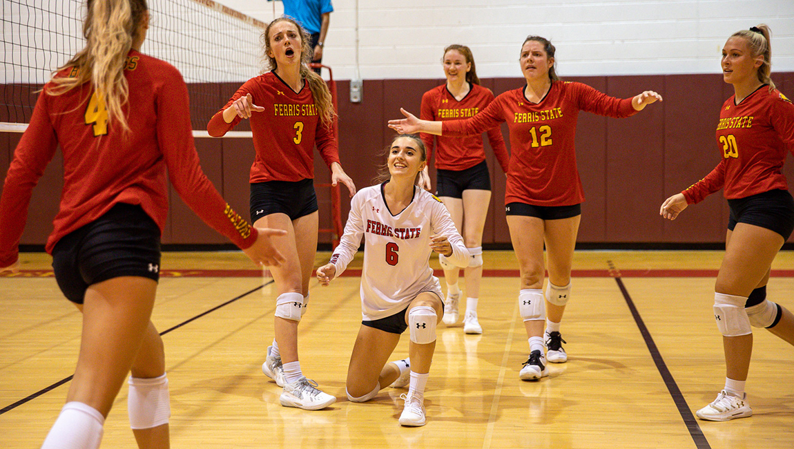 Volleyball FSU